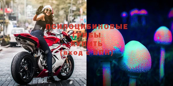 гидропоника Балабаново