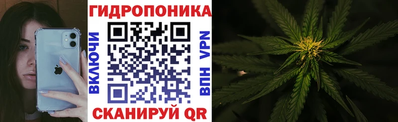 Канабис план  где купить наркоту  Иланский 